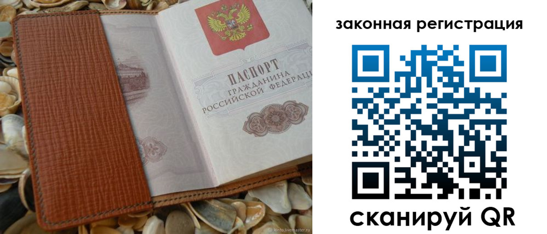 прописка паспорт в Торопеце